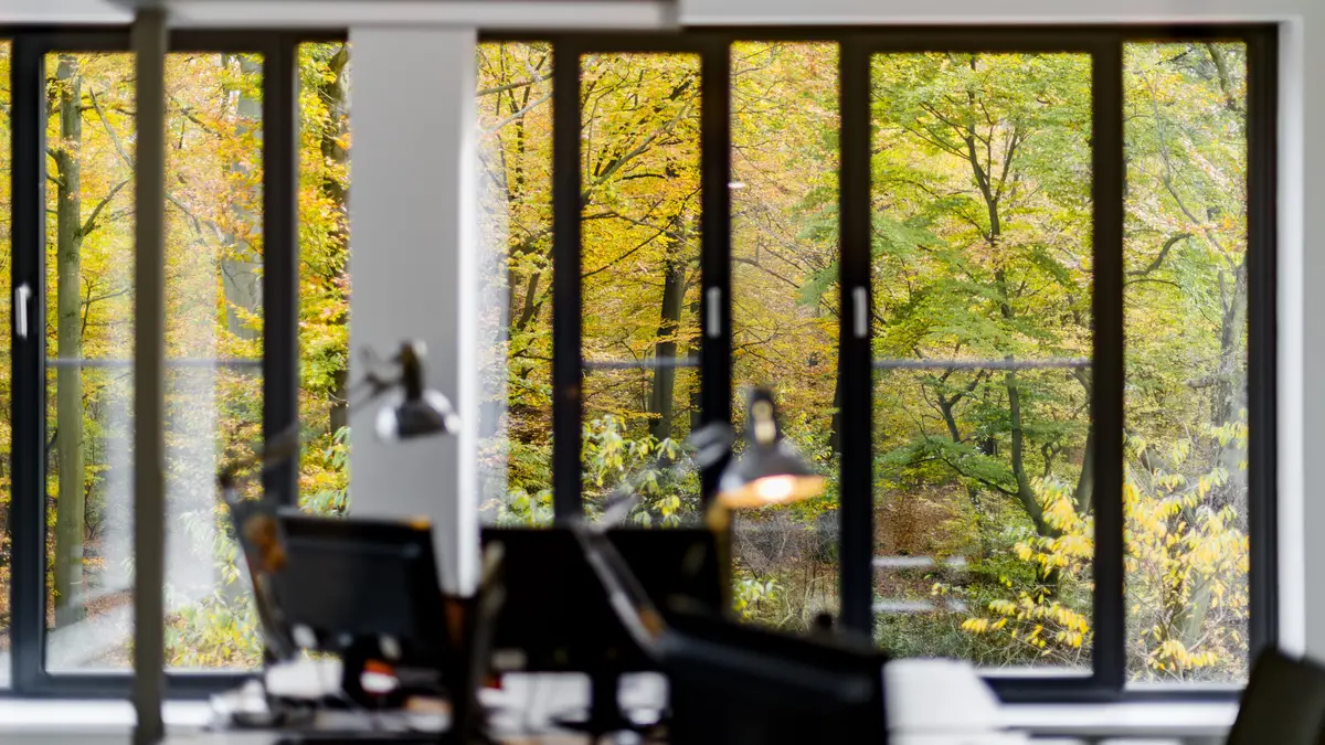 Projekte_Wefra_Blick aus dem Büro