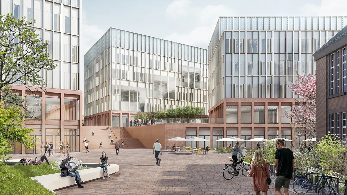 MARECUM Medizinische Fakultät Mannheim der Universität Heidelberg