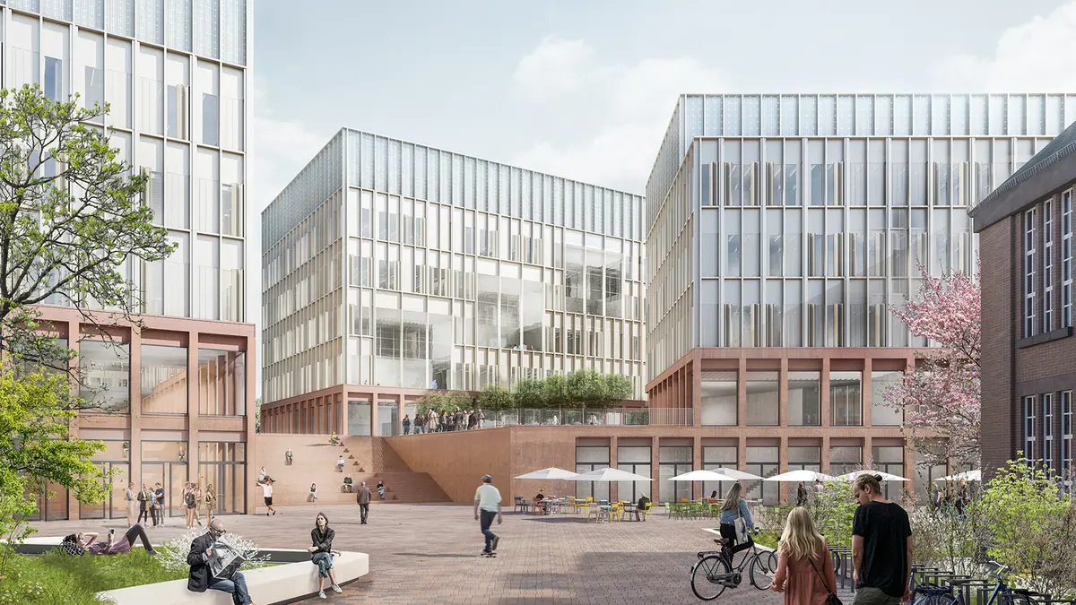 MARECUM Medizinische Fakultät Mannheim der Universität Heidelberg