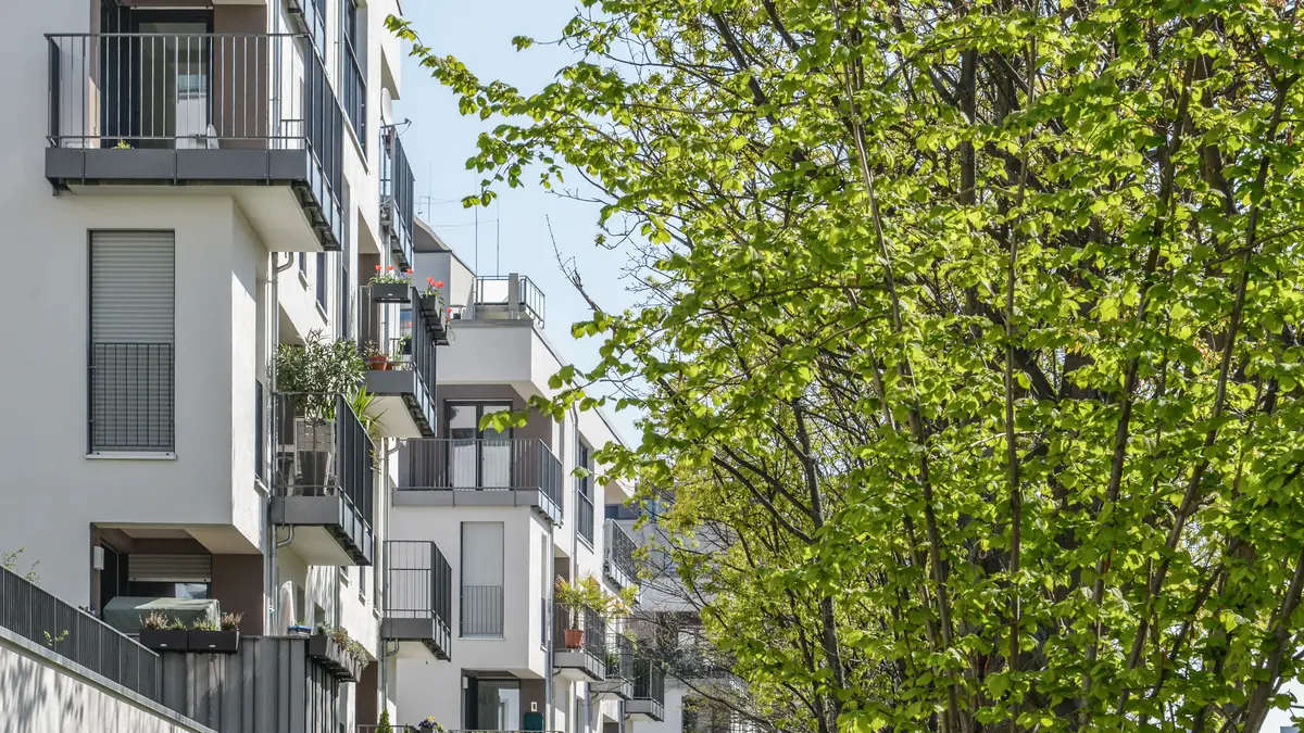 Projekte_Freiberger_Straße_Ansicht 5