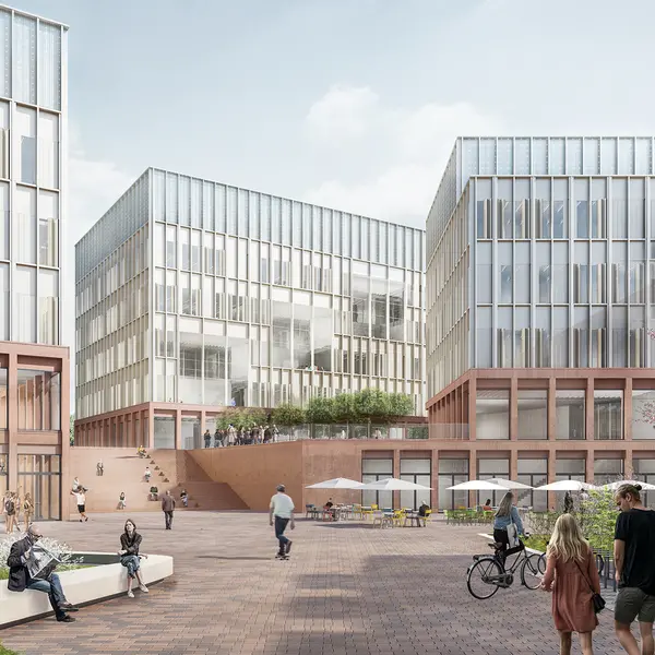 MARECUM Medizinische Fakultät Mannheim der Universität Heidelberg